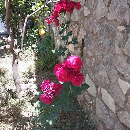 Villa Beautiful & Cosy 5-bedroom - Peloponnese