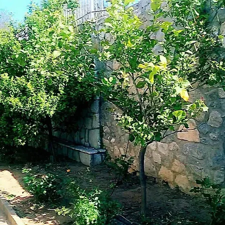Beautiful & Cosy 5-bedroom - Peloponnese *